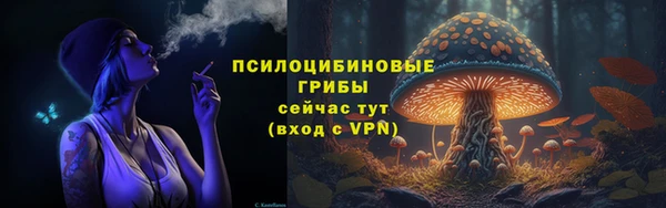 мескалин Снежногорск