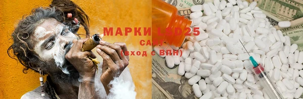 ешки Бородино
