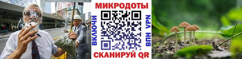 купить наркотики сайты  Ковдор  Галлюциногенные грибы Cubensis 